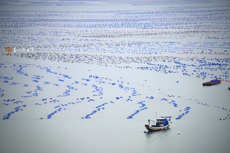 福建是海上养殖大省,色彩鲜艳的塑胶浮具盘据海面,撑起庞大的蓝色粮仓。