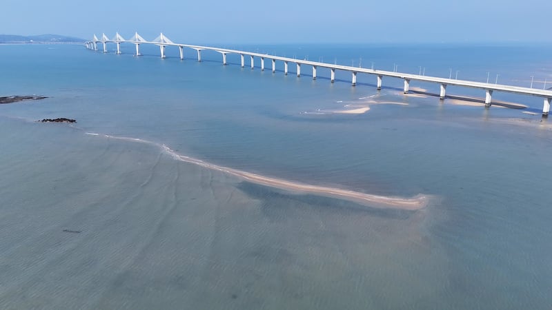 各种海上工程改变流场、漂沙传输,金门大桥下沙洲逐渐长大中。